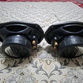 Kalonka nikl arginal