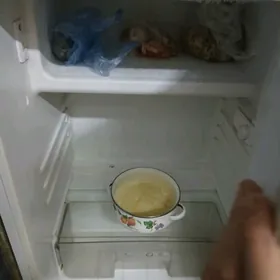 холодильник-морозильник