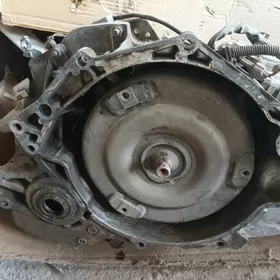 karopga zapcaslyk ucin