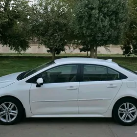 Karolla arginal diska 2021