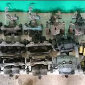 максима суппорт