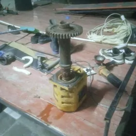 pagruşuk enşe 14 diş