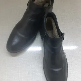 мужской туфли