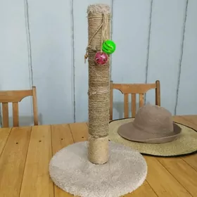 для кошек и котят