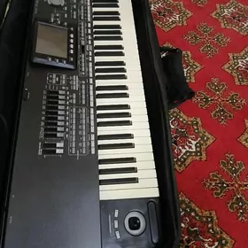 Korg pa3