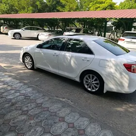 Toyota Camry 2013