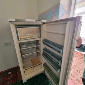 Holodilnik Russiyan onumi