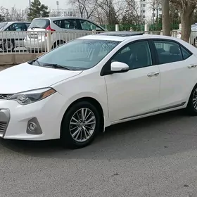 Toyota Corolla 2014