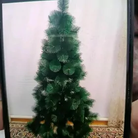 tazeyyl arça yolkaa