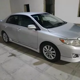 Toyota Corolla 2010