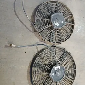 Wintelÿator 24 wolt