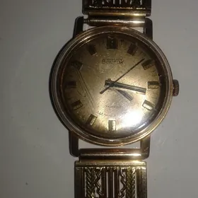 САГАТ АЛТЫН