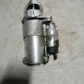 Signum wektra s Statyr arassa👍