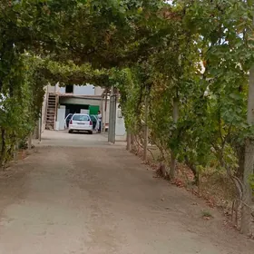 TEJEN Satlyk plan jaÿ