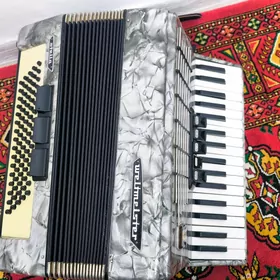 Akkardion weltmeister