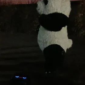 panda