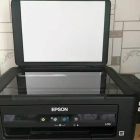 Epson L 210