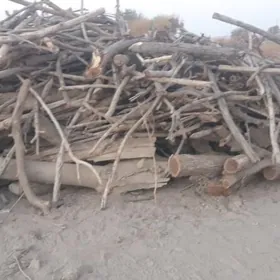 маклюра одун