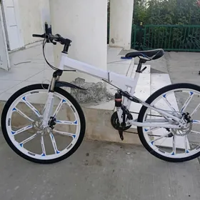 welosiped oňarýan ussa