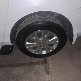 12 Awolanyn radnoy disgasy