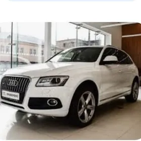 Audi Q5 2011