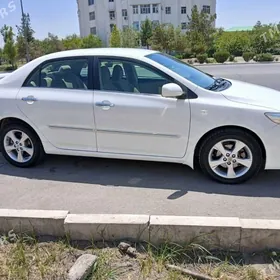 Toyota Corolla 2010