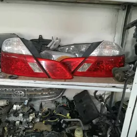 Avalon 04 Yz stopnik