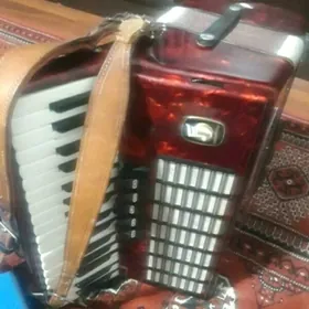 akkordeon Weltmeyster