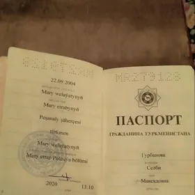 pasport yiitdi