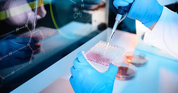 Türkmen alymlary alunitiň, tozganyň we rozmariniň binýadynda fitomineral bejeriş gelini işläp taýýarladylar