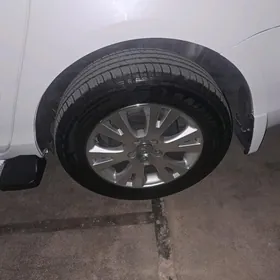 12 Awolanyn radnoy disgasy