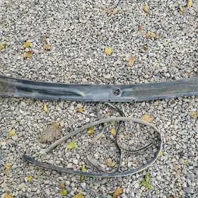 Авалон пласмас