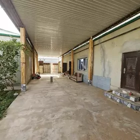 Coganly 6 sotak 5kom Satlyk