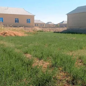 12 sotyk mellek ýer