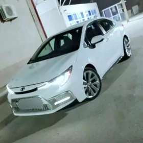 Toyota Corolla 2022