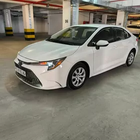 Toyota Corolla 2020