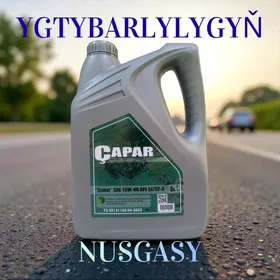 ÇAPAR MOTOR ÝAGY 15W40