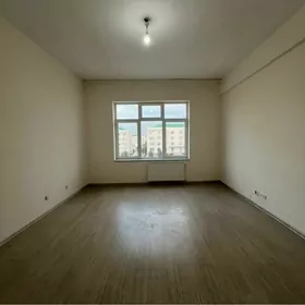 Arenda GURTLY (3 kom)