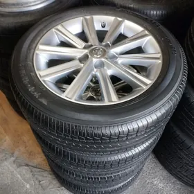 PALTA KEMRI diska ARGINAL