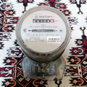 Счётчик электричества