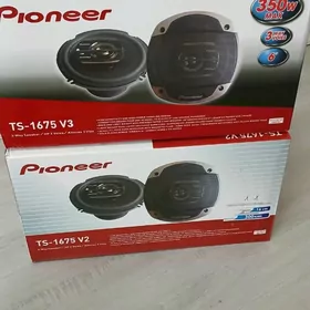 pioneer kalonka