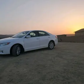 Toyota Camry 2010
