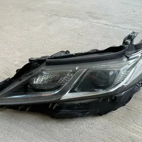 Camry Haliji Fara 2018-2020