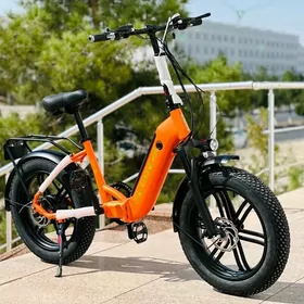 TIGIR MASYN HADINOK PARTA STOL