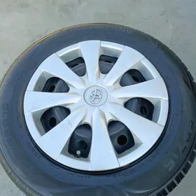 15 Radnoy disga pakrişga