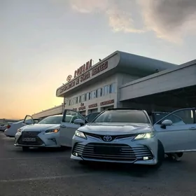 Masyn Moyka isgar alyas