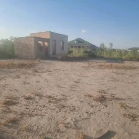 16 sotuk Jylpasyoluk