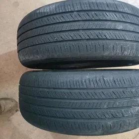 215.60..16.lik. saylun