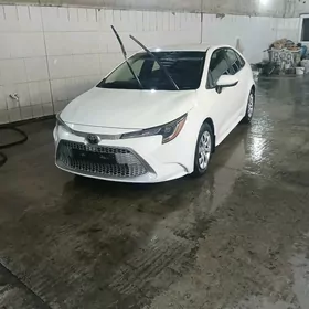 Toyota Corolla 2020