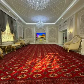 satlyk yewro remontly willa